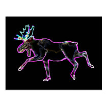 Electric Moose Postcard