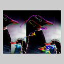 Electric Penguins for President posters