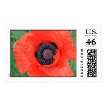 Electric Poppy US Postage Stamp by AnnMorash Electric Poppy US Postage Stamp