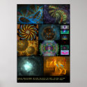 Electric Sheep + Milkdrop (Various #1) posters