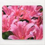 Electric Surprise Lily