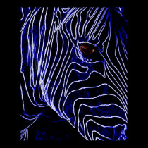 Electric Zebra posters