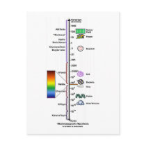 Electromagnetic Spectrum Postcard