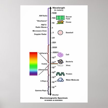 Electromagnetic Spectrum (Wavelengths Comparison) Posters