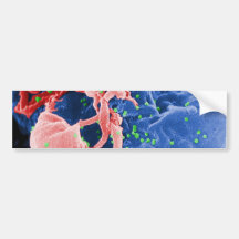 Electron Micrograph of HIV-1 Budding Lymphocyte Bumper Sticker