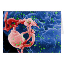 Electron Micrograph of HIV-1 Budding Lymphocyte Greeting Cards