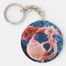 Electron Micrograph of HIV-1 Budding Lymphocyte Keychain