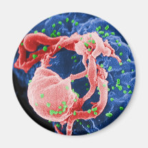 Electron Micrograph of HIV-1 Budding Lymphocyte Refrigerator Magnet