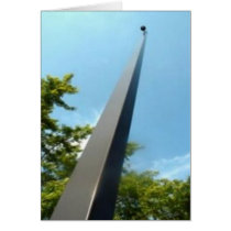 Electronic Surveillance Camera Cards