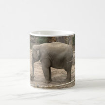 Elefante asiático taza de café