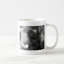Elefante blanco y negro tazas