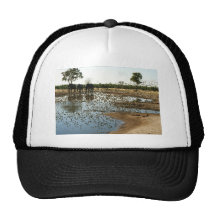 Elefantes y pájaros en un Waterhole Gorros Bordados