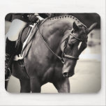 Elegance - Dressage Horse Mouse Pad