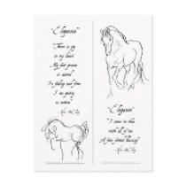 Elegance Eloquent Horse Bookmark postcards