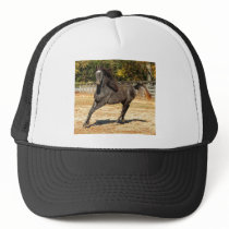 Elegance Mesh Hat