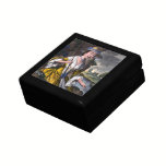 Elegant 18th Century Lady Fishing Antique Print gift boxes