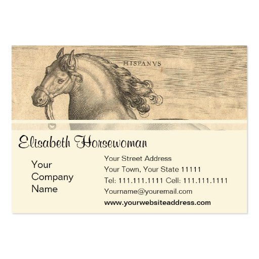 Elegant Antique Engraving of Spanish Horse Business Card Templates (front side)