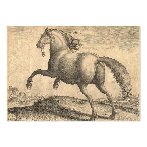 Elegant Antique Engraving of Spanish Horse Business Card Templates (back side)