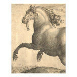 Elegant Antique Engraving of Spanish Horse Announcement