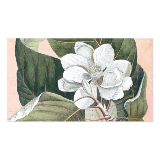 Elegant Antique Magnolia Engraving Business Card (back side)