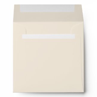 Elegant Beige Linen Envelopes