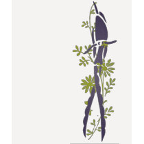 Elegant Bird t-shirts by litabug Elegant Bird t-shirts