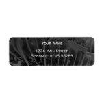 elegant black address label