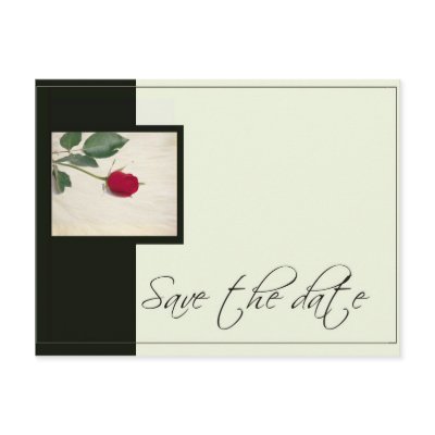 Elegant Black &amp; Ivory save the date Postcards