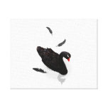 Elegant Black Swan Gallery Wrap Canvas