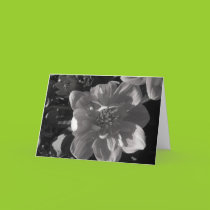 Elegant Bloom Blank Card cards