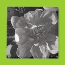 Elegant Bloom Magnet magnets