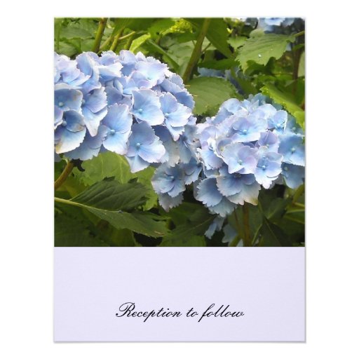 Elegant Blue Hydrangea Wedding Invitation