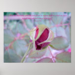 Elegant Bud Canvas Print