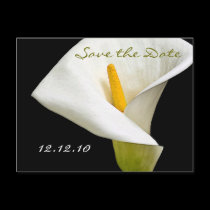 Elegant Cala Lily - Save the Date Card postcards