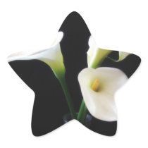 Elegant Calla Lily Flowers 12 Star Stickers