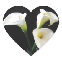 Elegant Calla Lily Flowers 12 Stickers