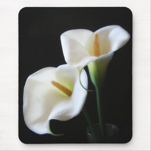 Elegant Calla Lily Flowers 13 Mousepads