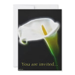 Elegant Calla Lily Flowers 15 Modern Invite