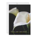 Elegant Calla Lily Flowers 16 Personalized Invite