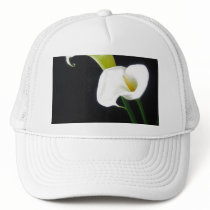 Elegant Calla Lily Flowers 1 Mesh Hat