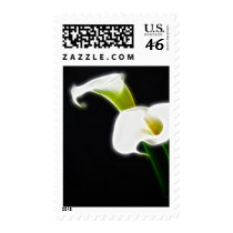 Elegant Calla Lily Flowers 1 Modern Postage Stamps
