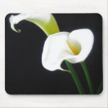 Elegant Calla Lily Flowers 1 Mousepads