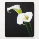 Elegant Calla Lily Flowers 1 Painterly Mousepad