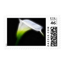 Elegant Calla Lily Flowers 2 Modern Postage Stamps