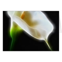 Elegant Calla Lily Flowers 3 Modern Greeting Card