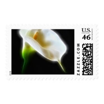 Elegant Calla Lily Flowers 3 Modern Stamp