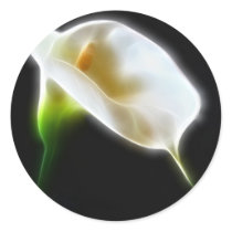 Elegant Calla Lily Flowers 3 Modern Stickers