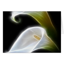Elegant Calla Lily Flowers 4 Modern Greeting Card