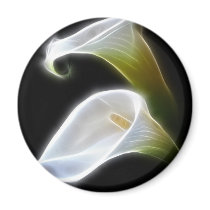 Elegant Calla Lily Flowers 4 Modern Magnet