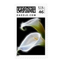Elegant Calla Lily Flowers 4 Modern Stamp